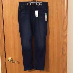 NWT Level 99 Lily Skinny Straight Leg Jean

Size 28P (6P)